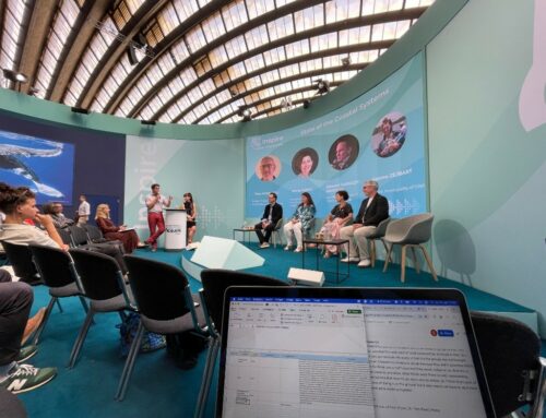 Inside the Whale – Fieldwork on Digital Twins at the Green Zone of the UN Ocean Conference 2025