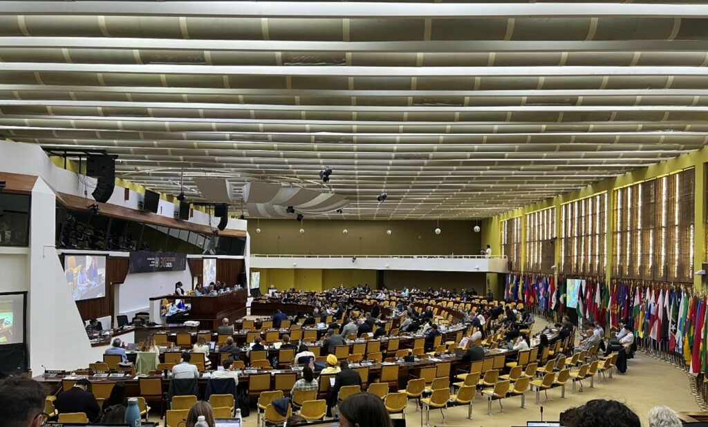 The negotiations as seen from the observer bench (Source: Emil W. Hildebrand)