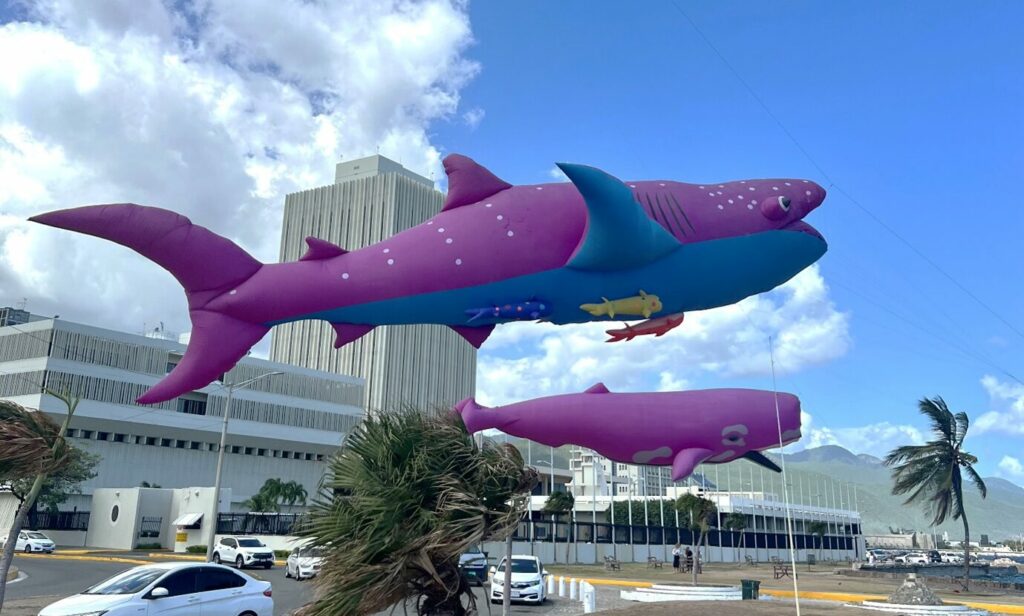 Enormous whale kites flown by Greenpeace in front of the conference centre (Source: Emil W. Hildebrand)