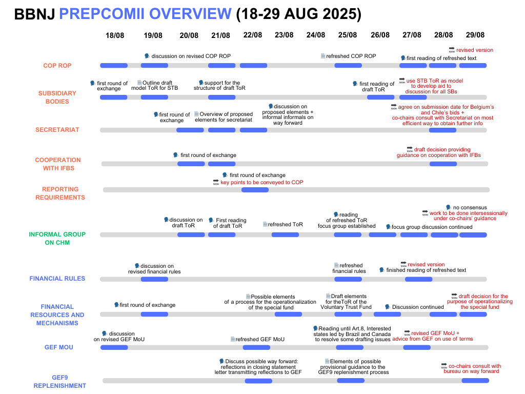 Timeline and deliverables of BBNJ PrepCom II, made by author (click here to download the pdf version) 