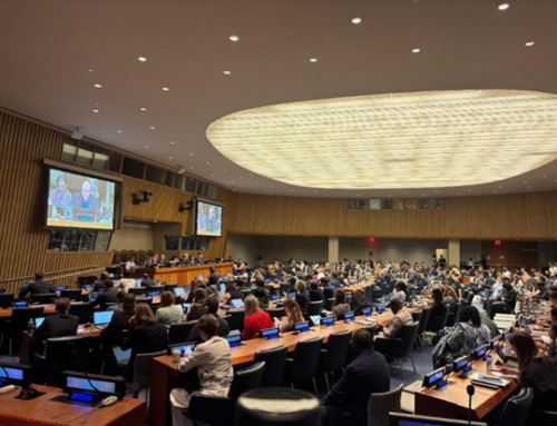 BBNJ PrepCom II: Are We Any Closer to an Operational Agreement?