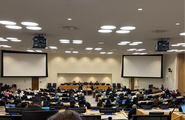 Negotiations in CR2, where the parallel sessions without interpretation took place (Photo: Wenwen Lyu)