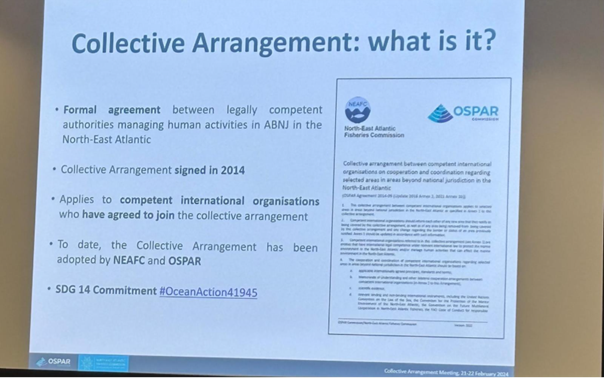 The OSPAR NEAFC Collective Arrangement, slide from side event ‘North-East Atlantic experiences: BBNJ opportunities and challenges’ on 20 Aug 2025 (Photo: Wenwen Lyu)