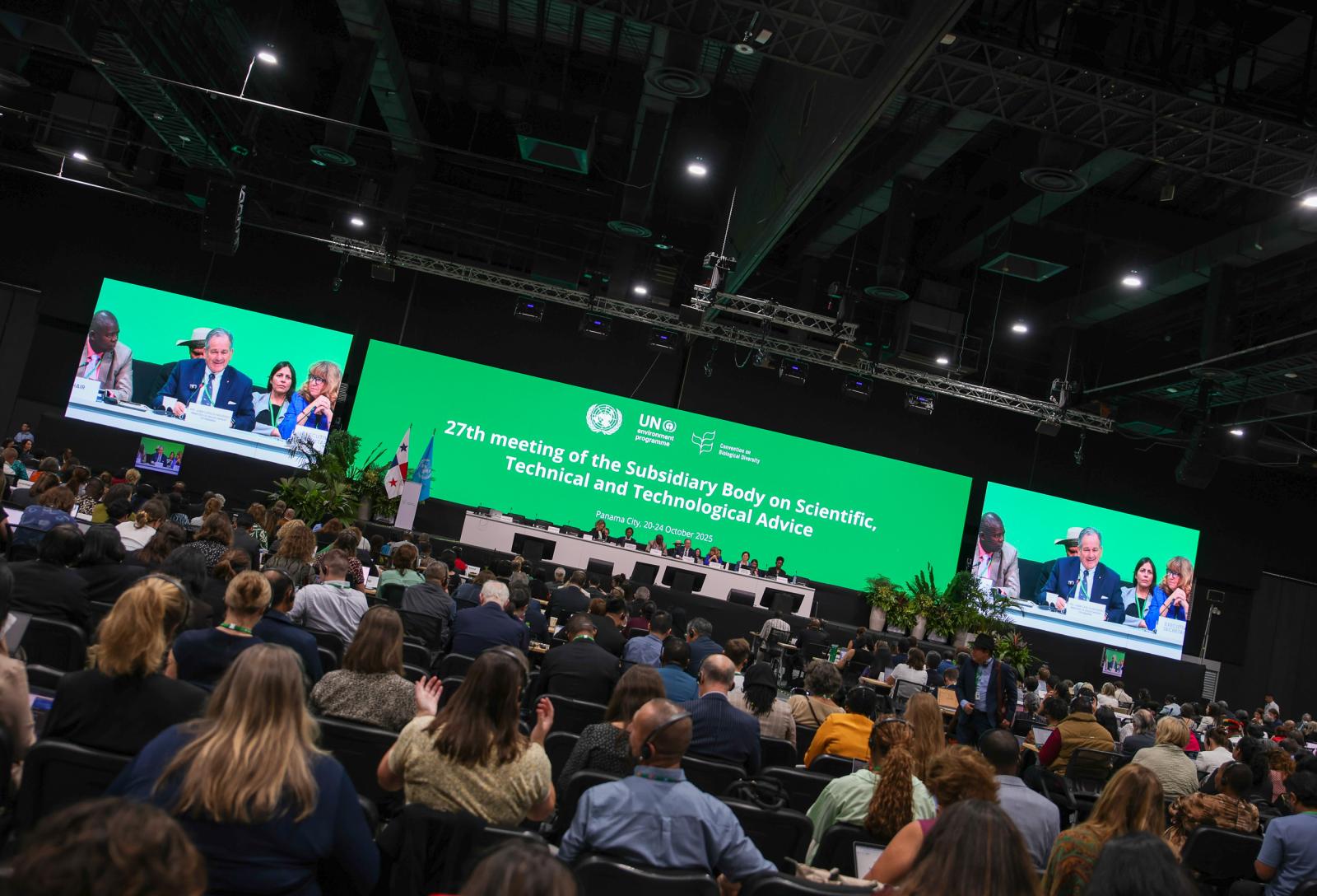 Photo by IISD/ENB | Mike Muzurakis