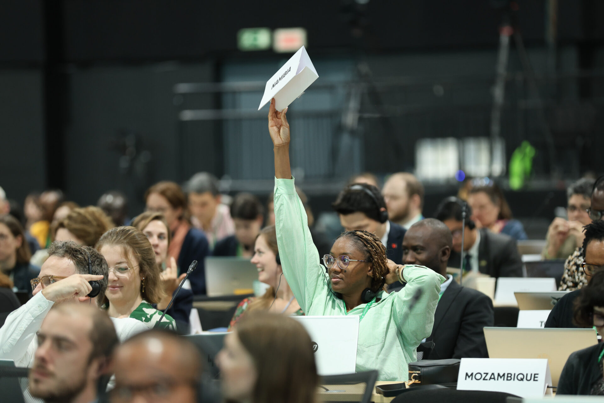 Photo by IISD/ENB | Mike Muzurakis