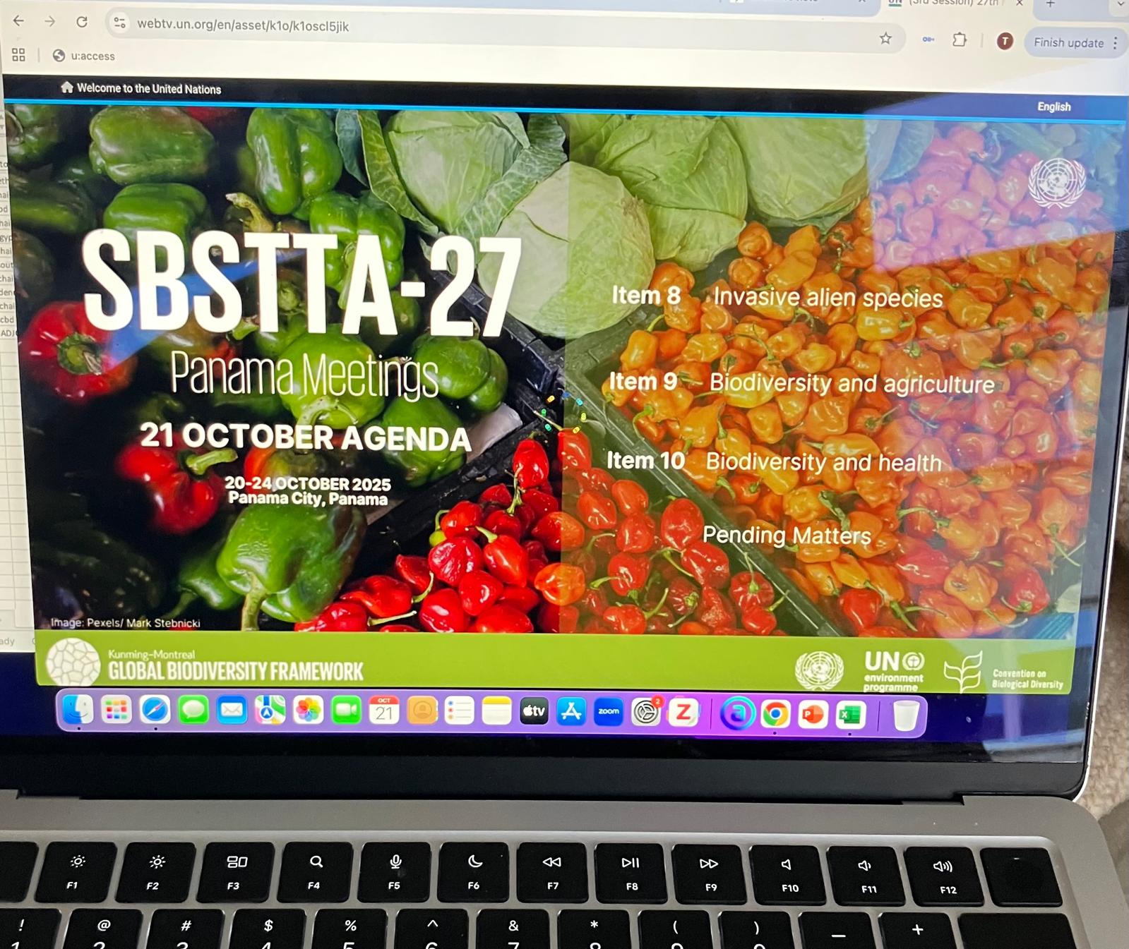 Photo credit: Hristina Talkova