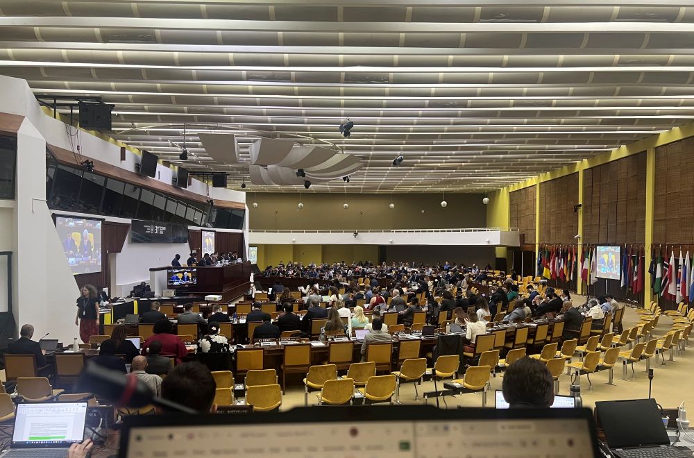 View from the observer bench (credit: Emil W. Hildebrand)
